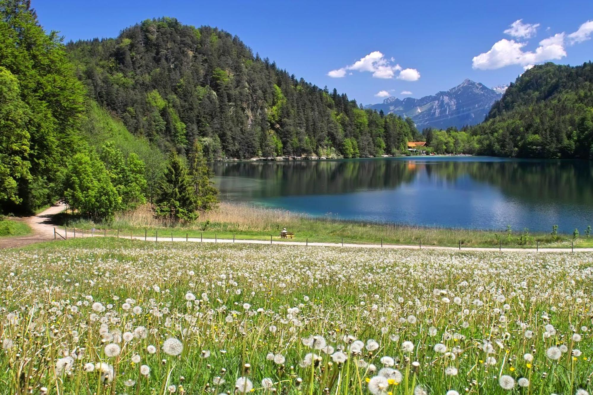 Hotel Restaurant Alatsee Füssen Eksteriør bilde